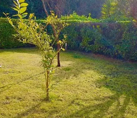 S194 Meraviglioso Trilocale Con Giardino